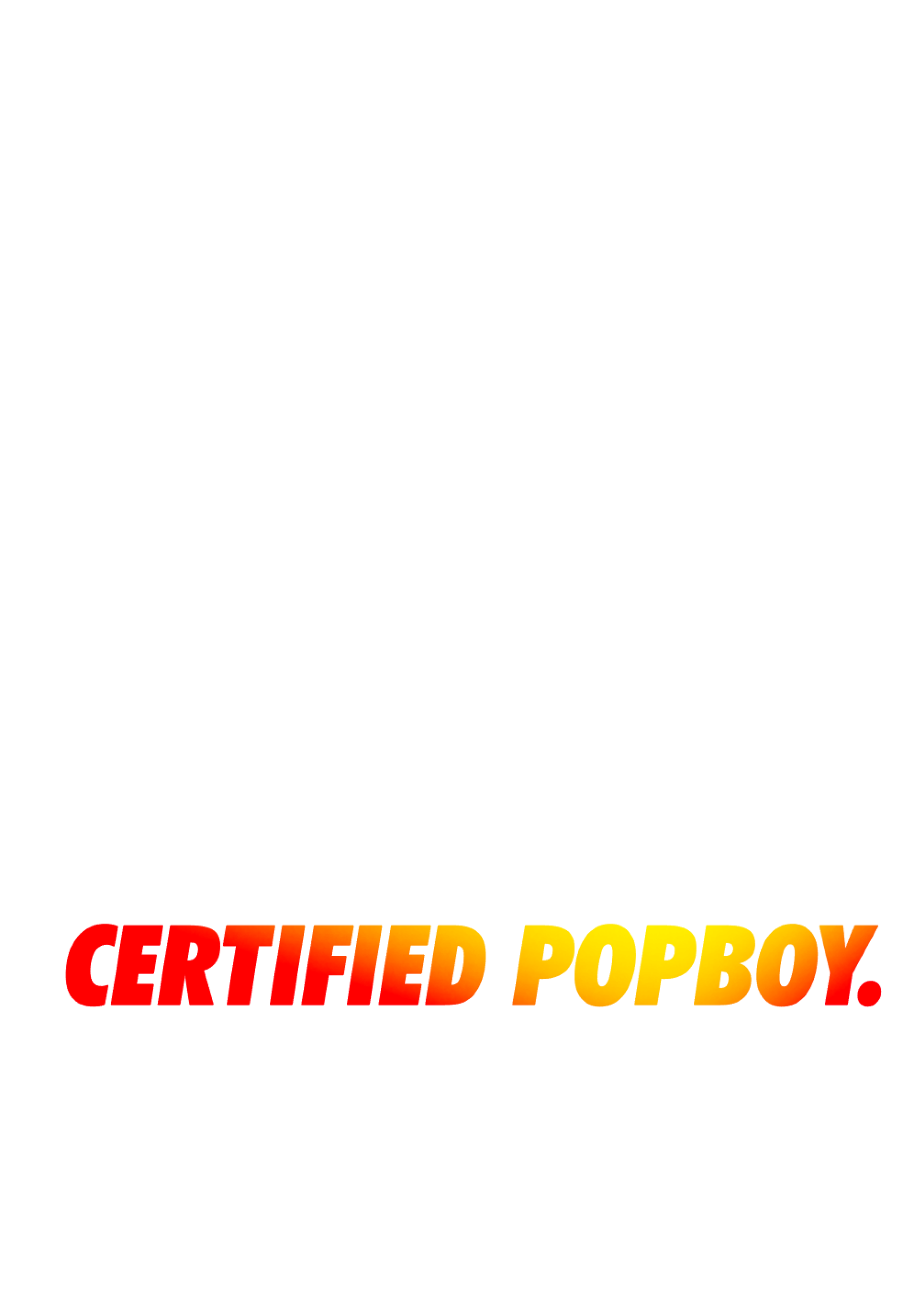 CERTIFIED POPBOY VINYL BANNER