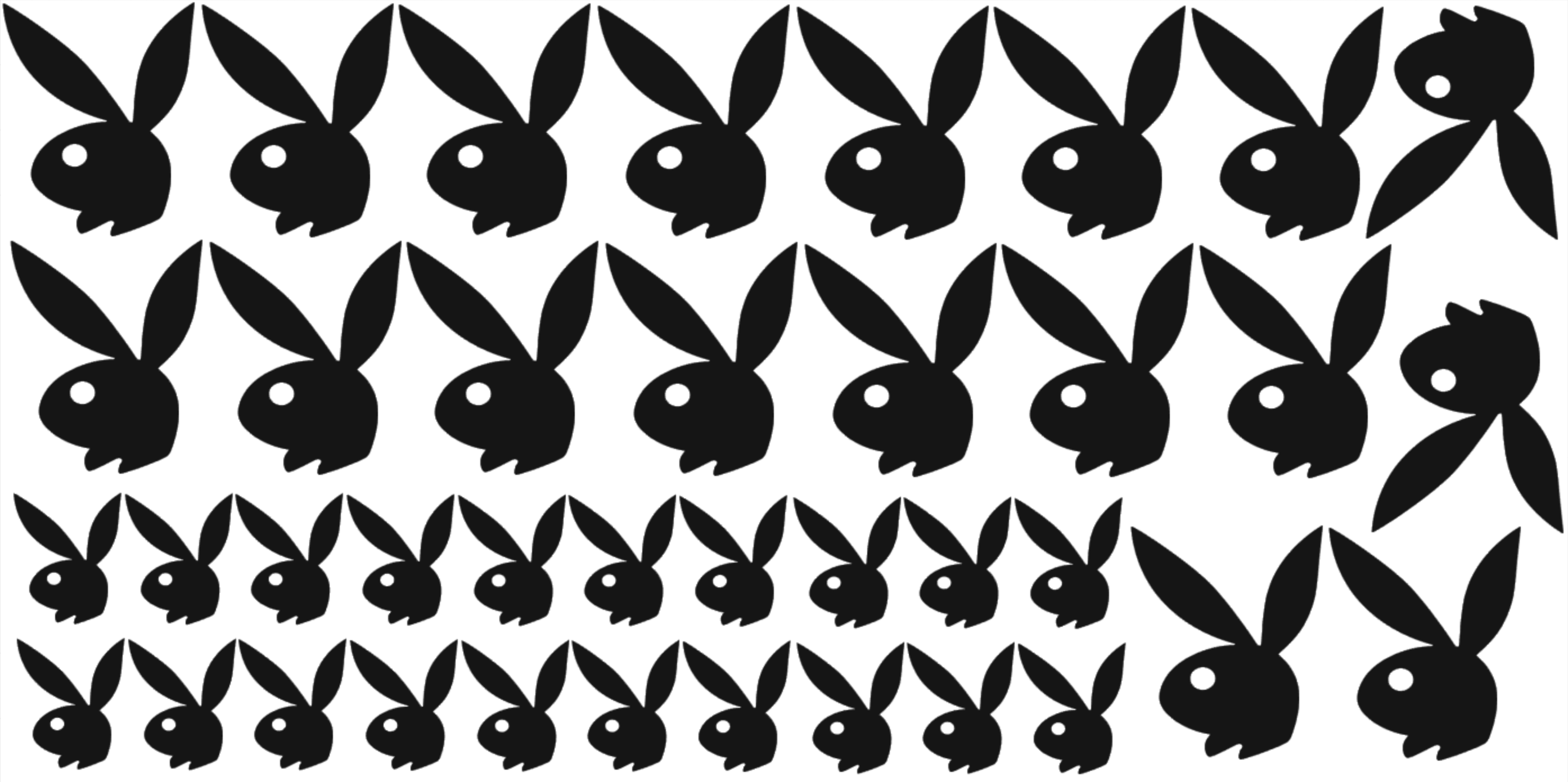 Bunny Livery Set