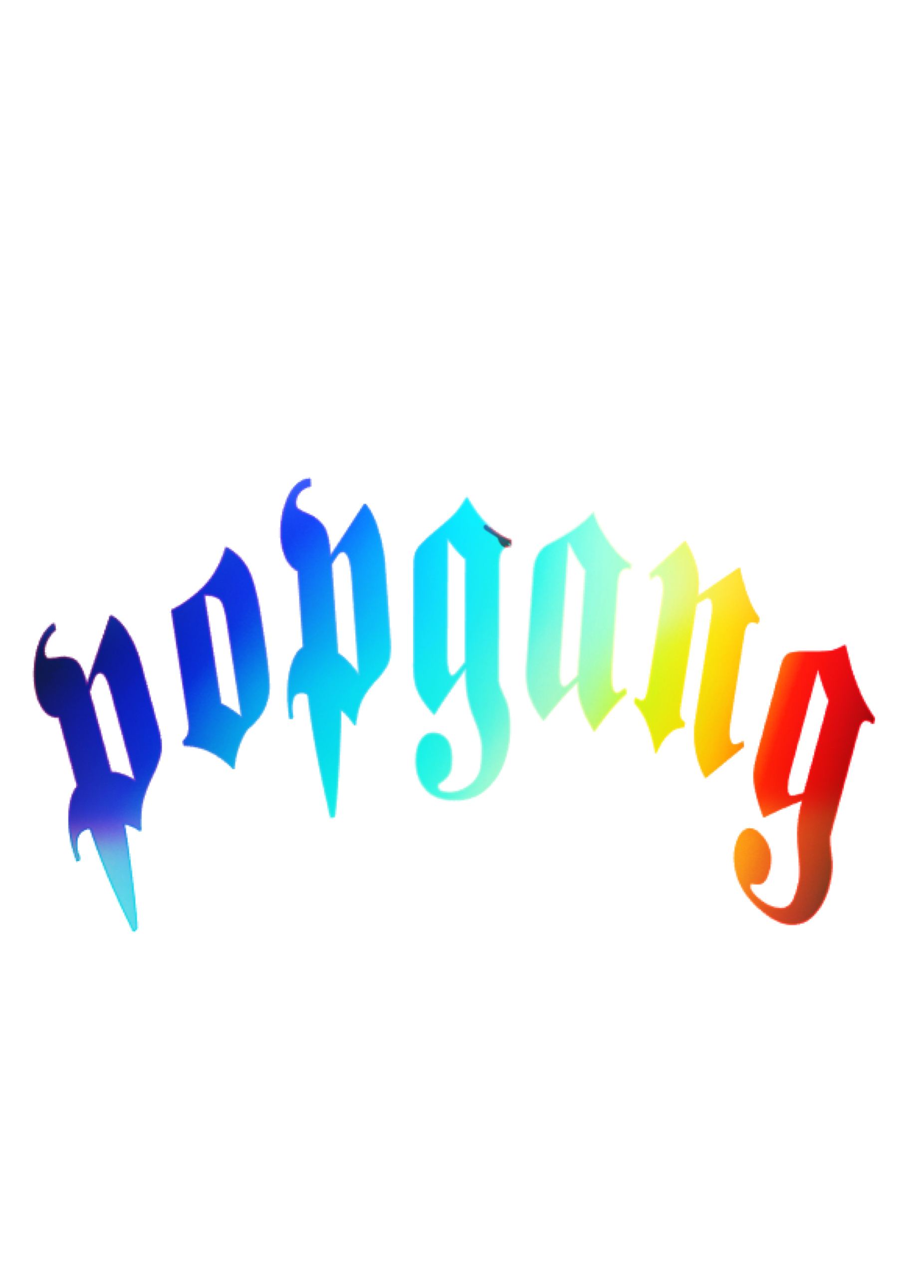 POPGANG VINYL BANNER